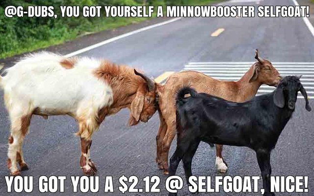 @g-dubs got you a $2.12 @minnowbooster upgoat, nice!