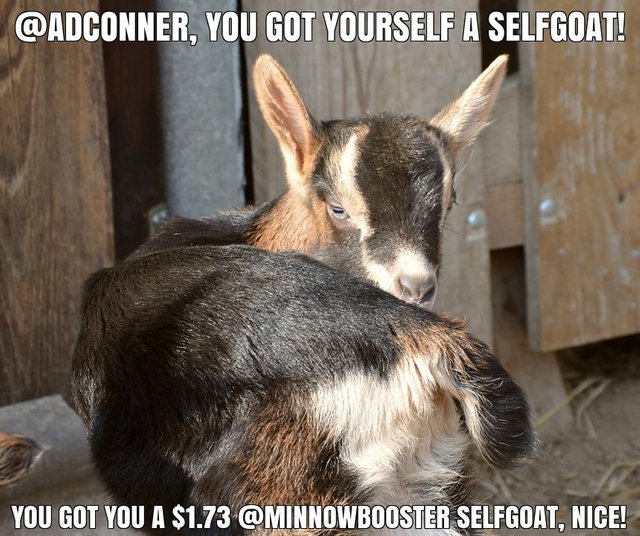 @adconner got you a $1.73 @minnowbooster upgoat, nice!