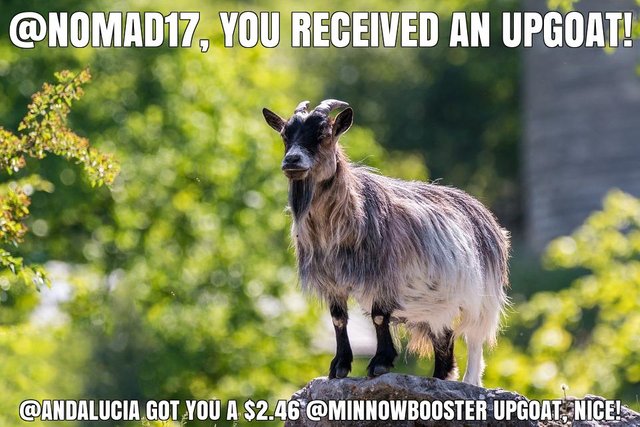 @andalucia got you a $2.46 @minnowbooster upgoat, nice!