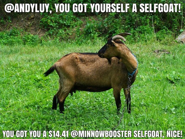 @andyluy got you a $14.41 @minnowbooster upgoat, nice!