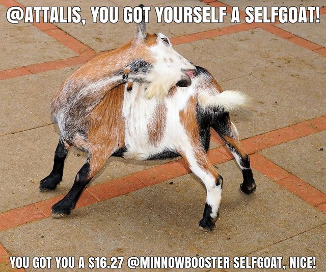 @attalis got you a $16.27 @minnowbooster upgoat, nice!