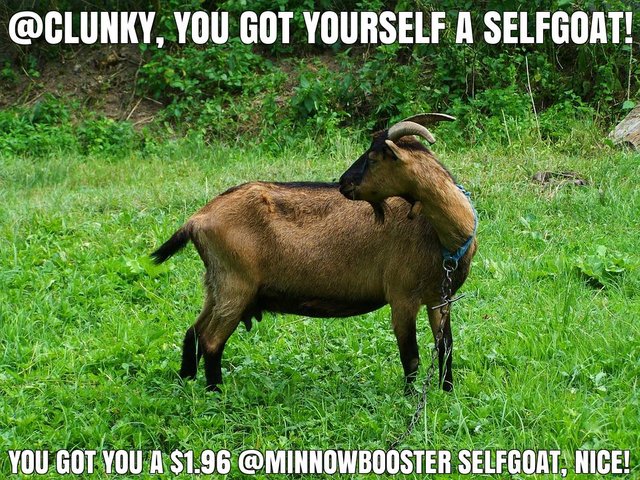 @clunky got you a $1.96 @minnowbooster upgoat, nice!