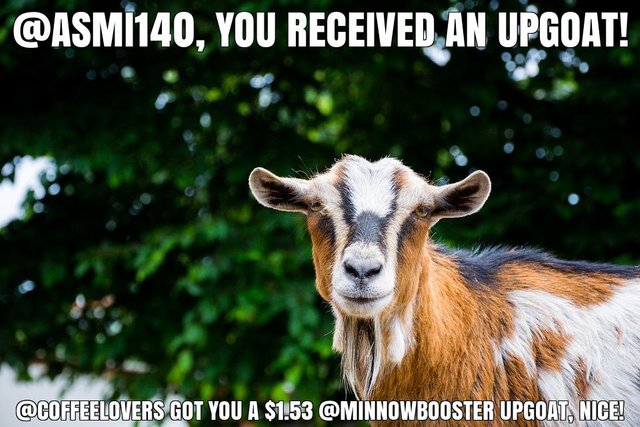 @coffeelovers got you a $1.53 @minnowbooster upgoat, nice!