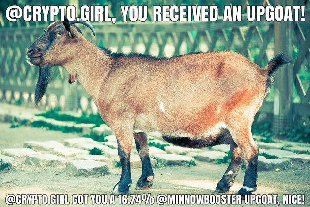 @crypto.girl got you a 16.74% @minnowbooster upgoat, nice!
