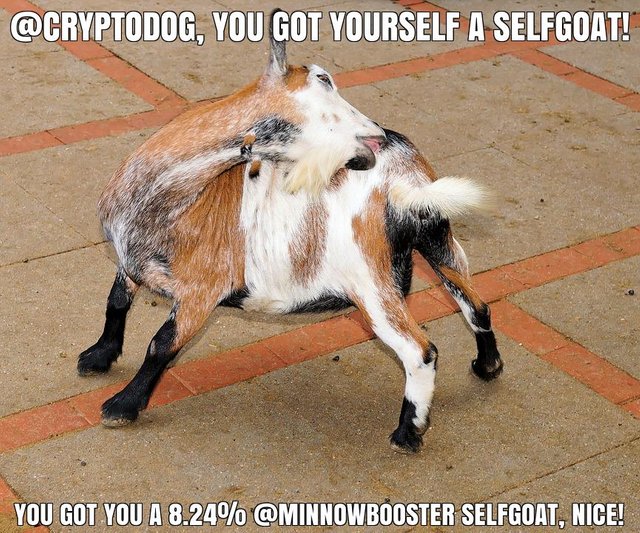 @cryptodog got you a 8.24% @minnowbooster upgoat, nice!