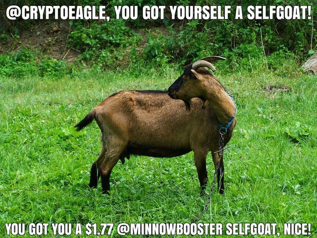 @cryptoeagle got you a $1.77 @minnowbooster upgoat, nice!