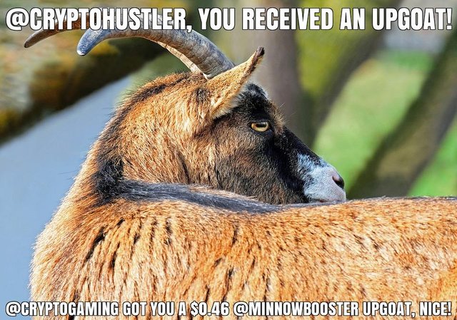 @cryptogaming got you a $0.46 @minnowbooster upgoat, nice!