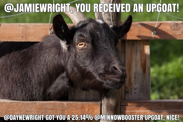 @daynewright got you a 25.14% @minnowbooster upgoat, nice!