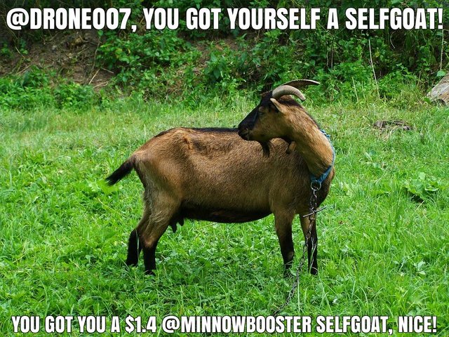 @drone007 got you a $1.4 @minnowbooster upgoat, nice!