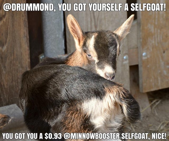@drummond got you a $0.93 @minnowbooster upgoat, nice!