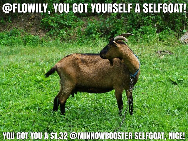 @flowily got you a $1.32 @minnowbooster upgoat, nice!