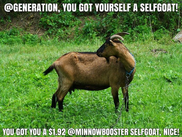 @generation got you a $1.92 @minnowbooster upgoat, nice!