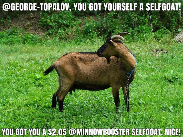 @george-topalov got you a $2.05 @minnowbooster upgoat, nice!