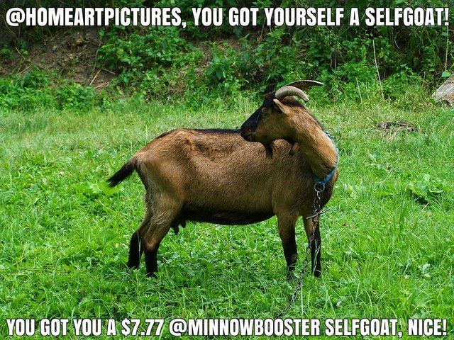 @homeartpictures got you a $7.77 @minnowbooster upgoat, nice!