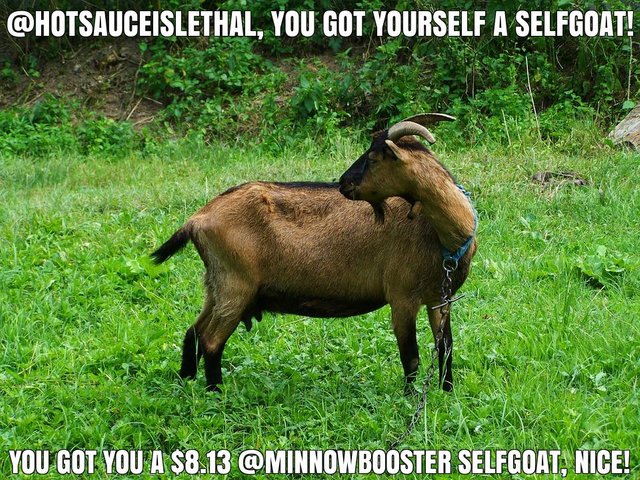 @hotsauceislethal got you a $8.13 @minnowbooster upgoat, nice!