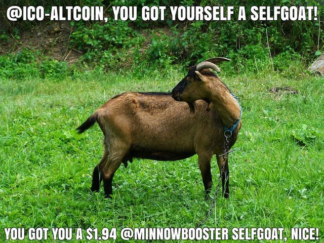 @ico-altcoin got you a $1.94 @minnowbooster upgoat, nice!