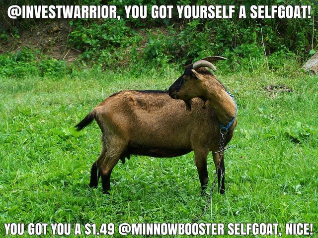@investwarrior got you a $1.49 @minnowbooster upgoat, nice!