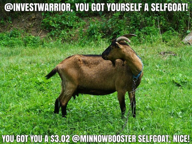 @investwarrior got you a $3.02 @minnowbooster upgoat, nice!