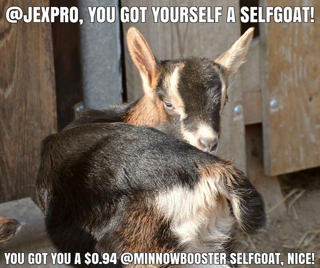 @jexpro got you a $0.94 @minnowbooster upgoat, nice!