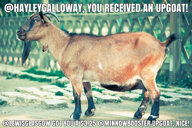 @lewisglasgow got you a $3.25 @minnowbooster upgoat, nice!