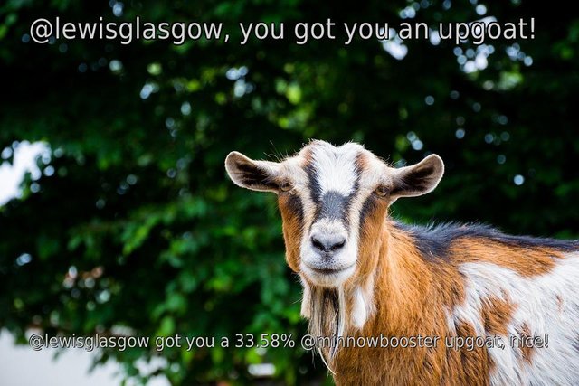 @lewisglasgow got you a 33.58% @minnowbooster upgoat, nice!