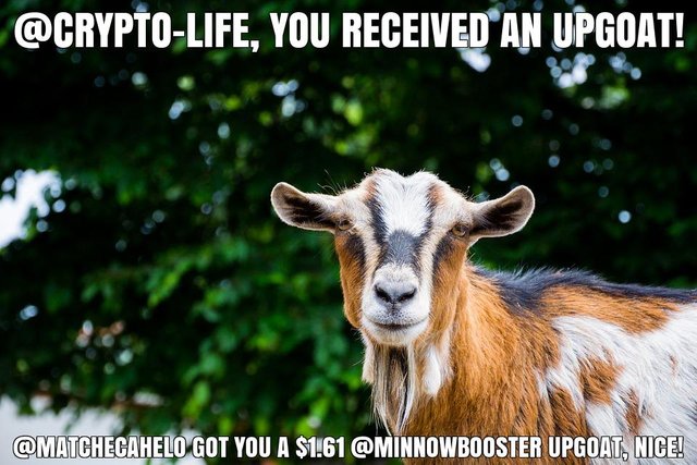 @matchecahelo got you a $1.61 @minnowbooster upgoat, nice!