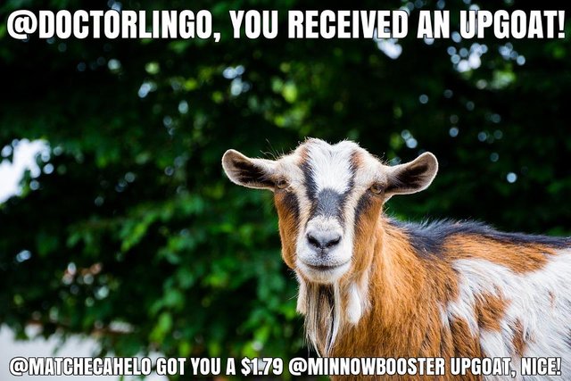 @matchecahelo got you a $1.79 @minnowbooster upgoat, nice!