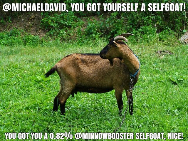 @michaeldavid got you a 0.82% @minnowbooster upgoat, nice!