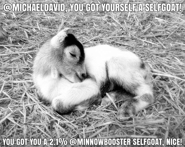 @michaeldavid got you a 2.1% @minnowbooster upgoat, nice!