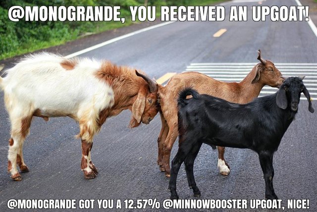 @monogrande got you a 12.57% @minnowbooster upgoat, nice!