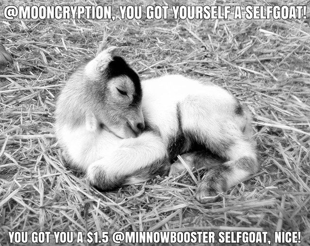 @mooncryption got you a $1.5 @minnowbooster upgoat, nice!