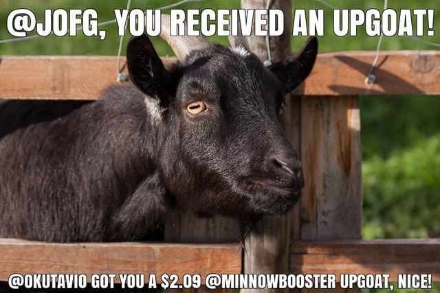 @okutavio got you a $2.09 @minnowbooster upgoat, nice!
