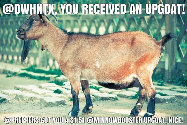 @preppers got you a $1.51 @minnowbooster upgoat, nice!