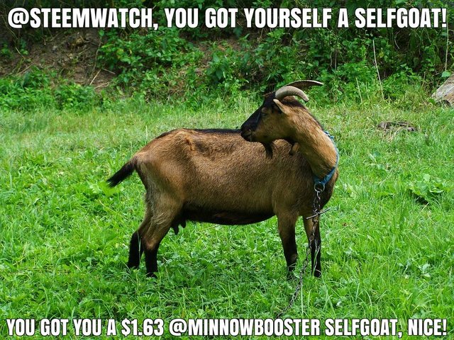 @steemwatch got you a $1.63 @minnowbooster upgoat, nice!