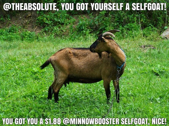 @theabsolute got you a $1.88 @minnowbooster upgoat, nice!