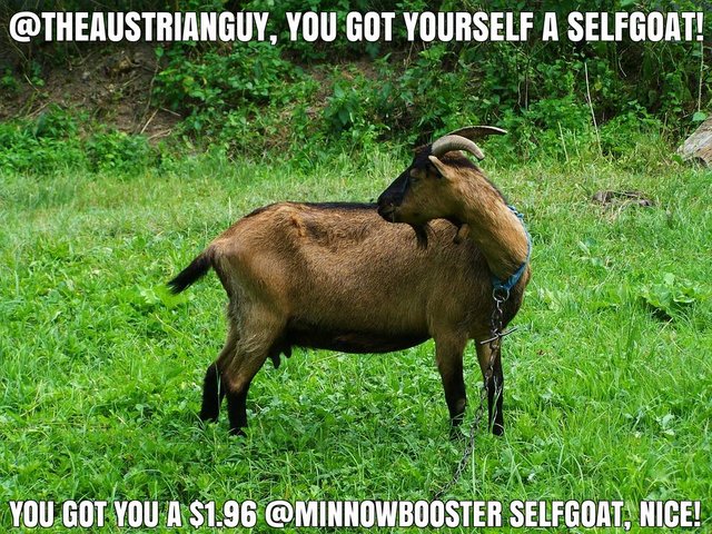@theaustrianguy got you a $1.96 @minnowbooster upgoat, nice!
