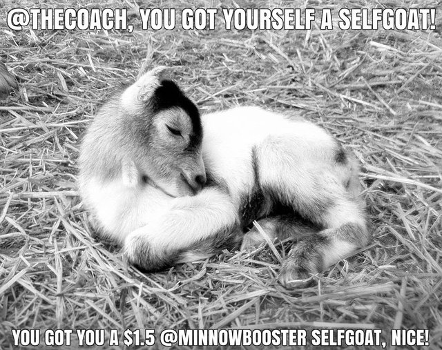 @thecoach got you a $1.5 @minnowbooster upgoat, nice!