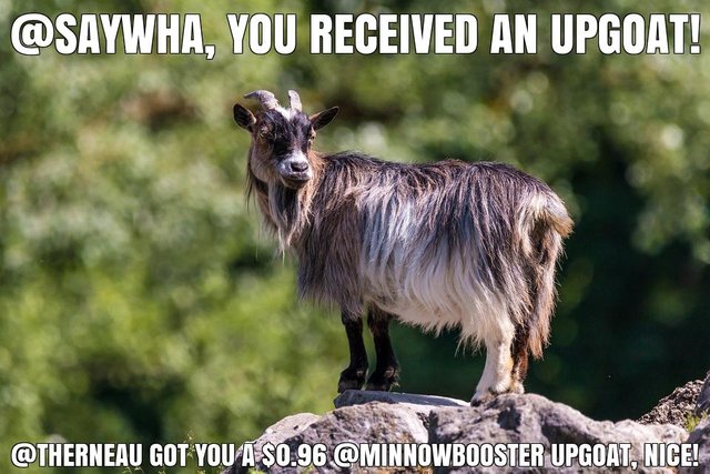 @therneau got you a $0.96 @minnowbooster upgoat, nice!