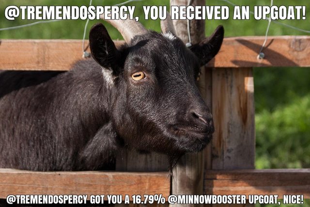 @tremendospercy got you a 16.79% @minnowbooster upgoat, nice!