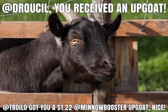 @troilo got you a $1.22 @minnowbooster upgoat, nice!