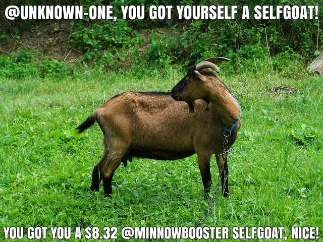 @unknown-one got you a $8.32 @minnowbooster upgoat, nice!
