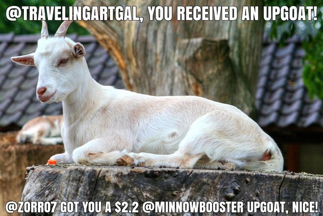 @zorro7 got you a $2.2 @minnowbooster upgoat, nice!