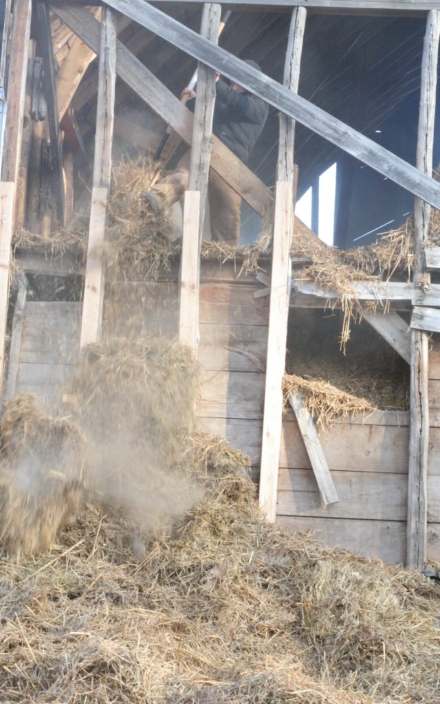 Image of Straw mulch in a hayloft