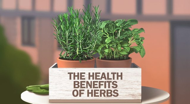 health benefits of herbs