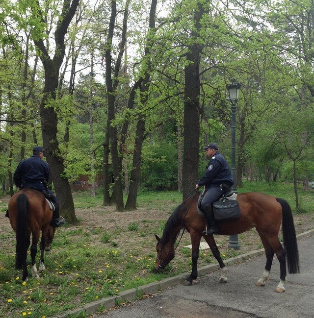 Borisovata Gradina Parkı, Sofya