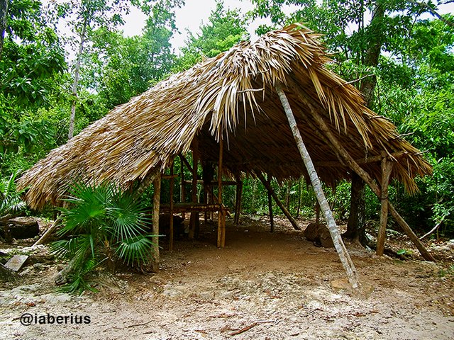 campamento chiclero