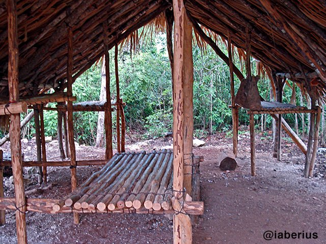 interior campamento chiclero