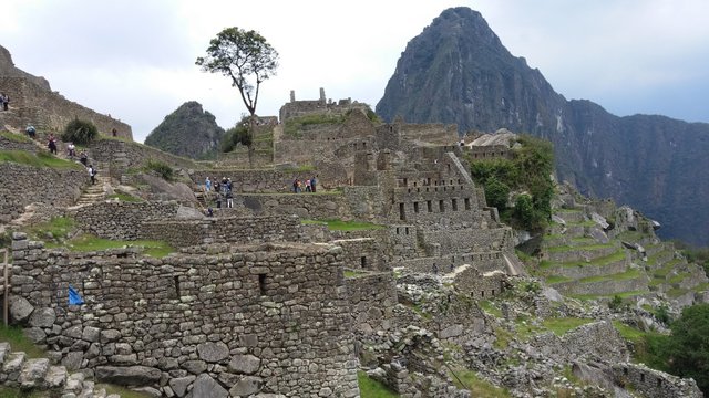 Machu Picchu