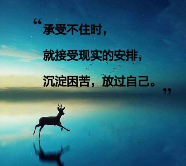 放过 好声音#《放过自己》 — Steemit