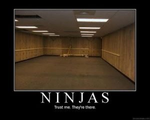 ninja-comments